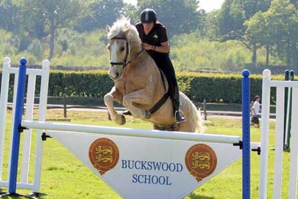 Школа-пансіон Buckswood School | Гастінгс, Англія