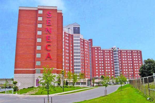 Seneca College | Канада