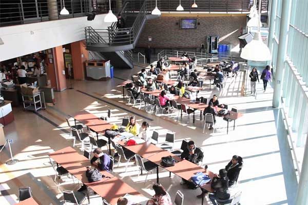 Seneca College | Канада